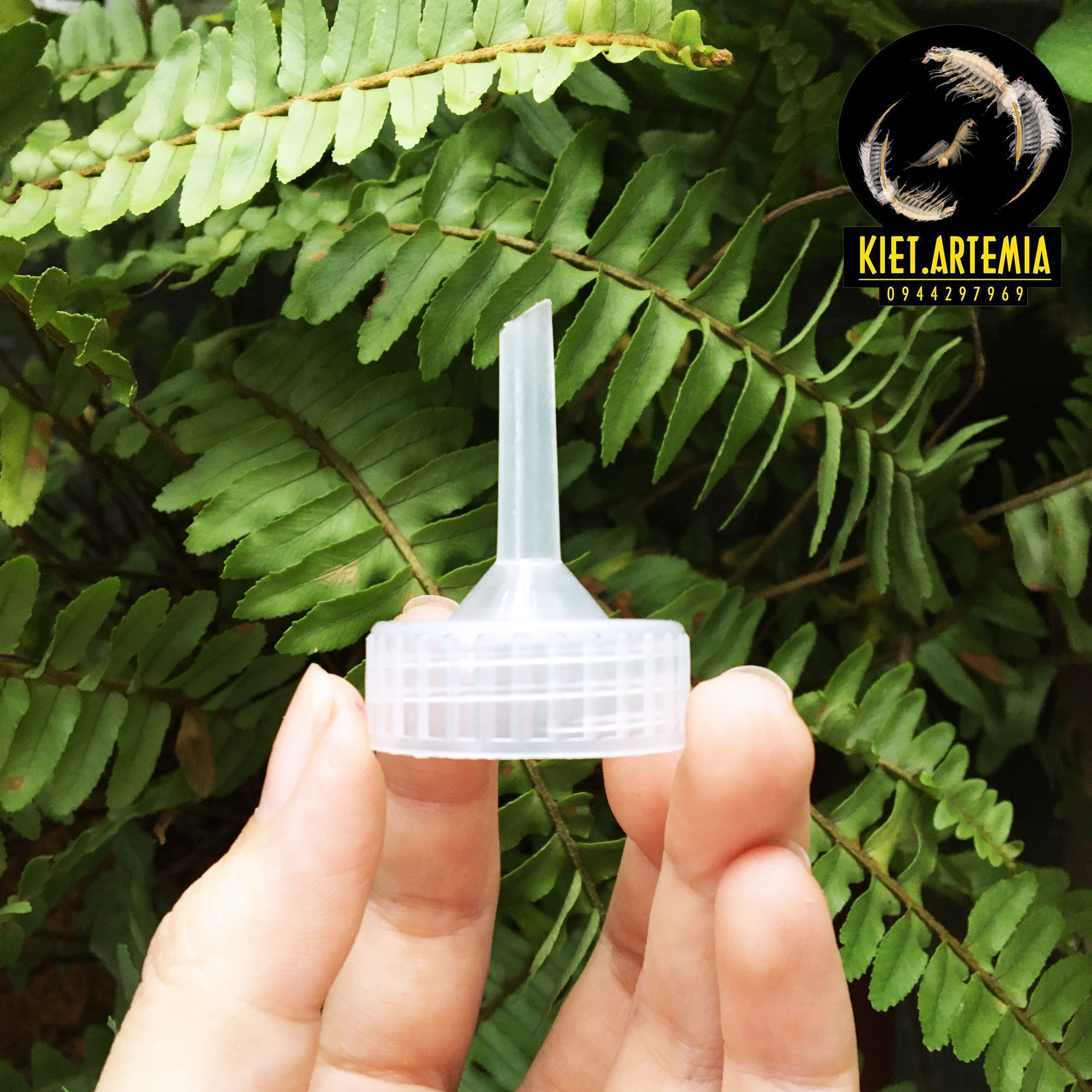 Bộ Ấp Artemia- Dụng Cụ Ấp Artemia