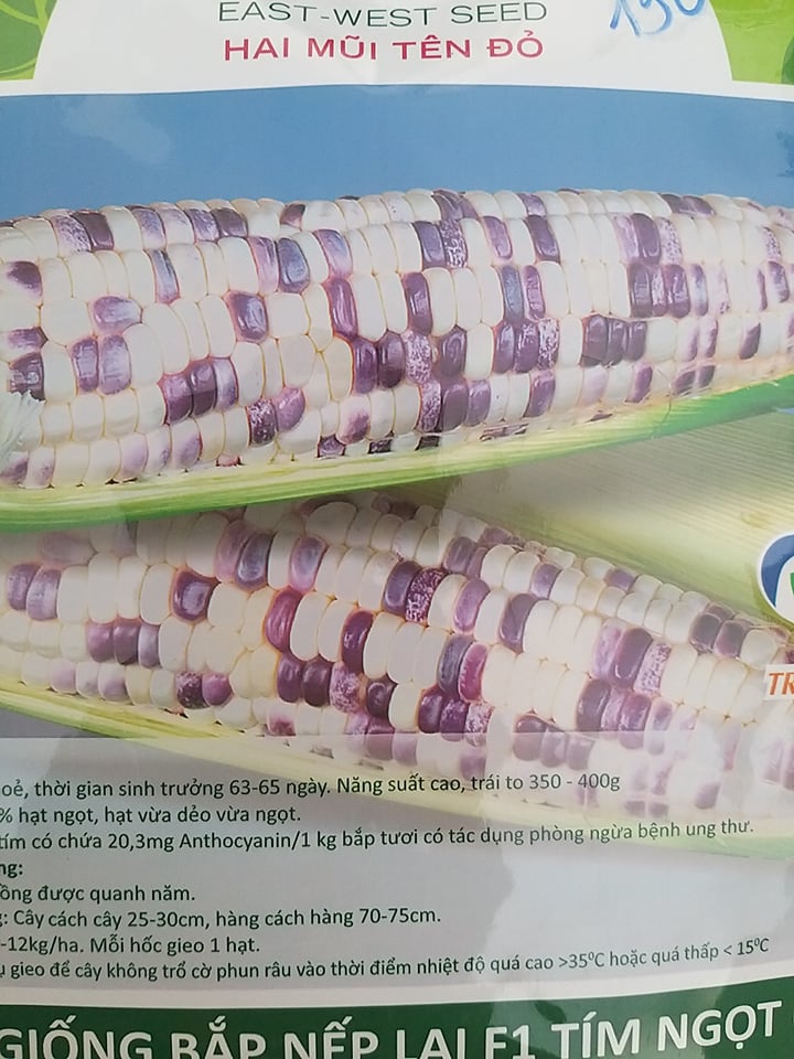 Hạt giống bắp nếp lai F1 Tím Ngọt 099 Hai Mũi Tên Đỏ gói 500g