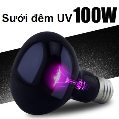 Đèn UVA sưởi đêm cho bò sát thương hiệu nomoy
