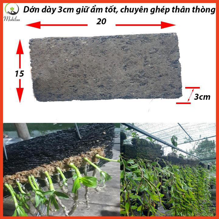 Dớn bảng ghép lan bảng dày 20x15x3