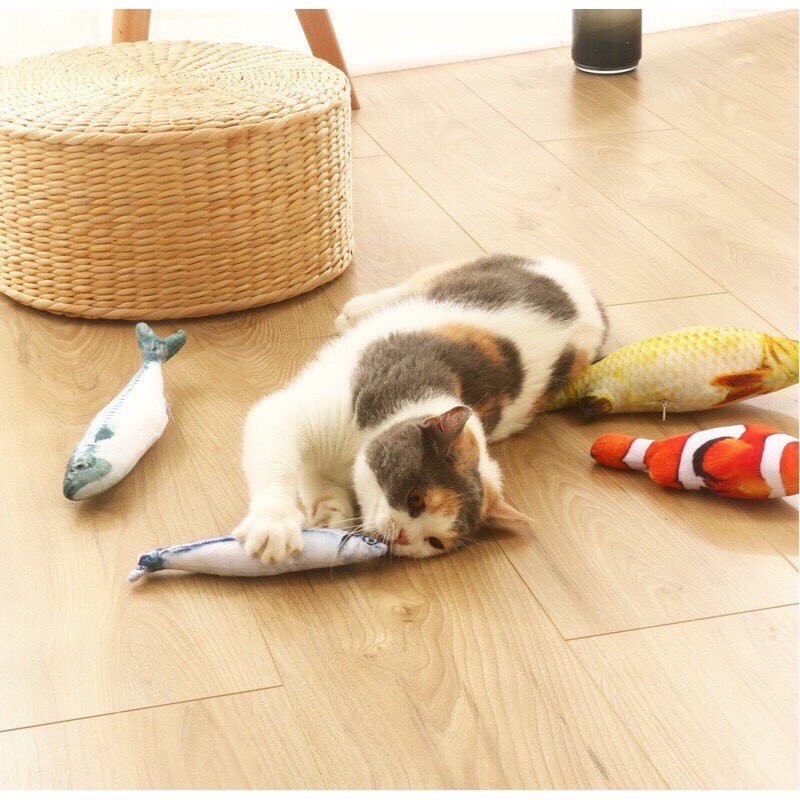 Cá đồ chơi Catnip cho chó mèo nhồi bông