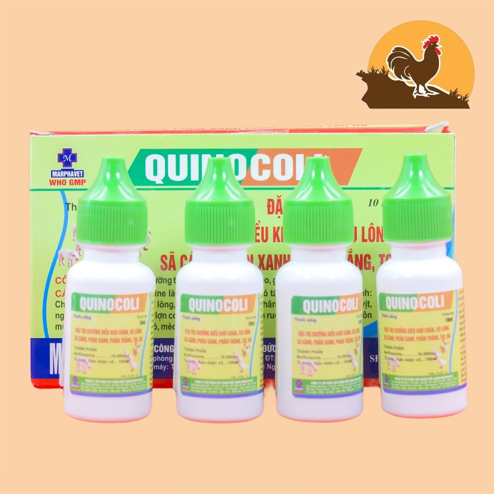 COMBO 4 LỌ QUINO COLI PHÂN XANH PHÂN TRẮNG 10ML