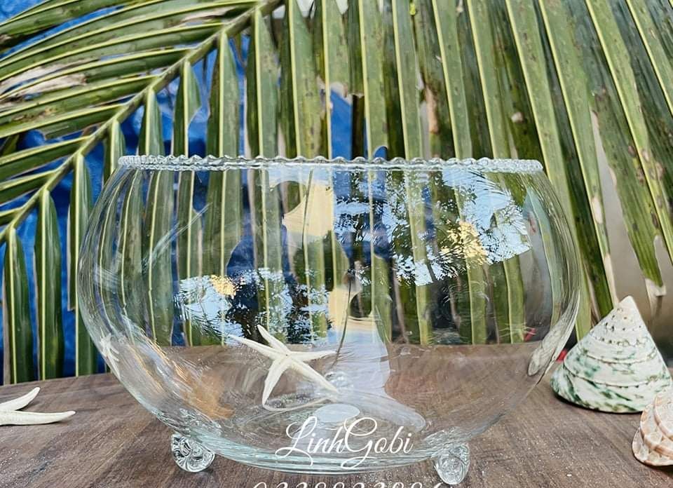 Bể cá thủy tinh CÓ CHÂN mini để bàn miệng răng cưa cỡ 21 cm