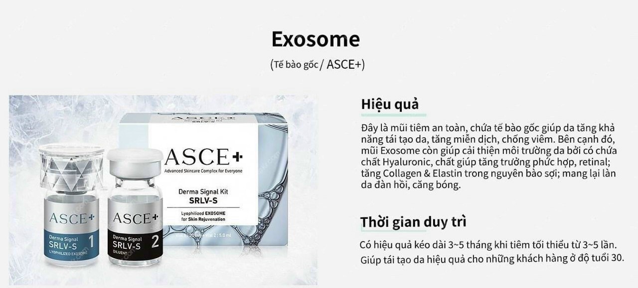 M𝐞𝐬𝐨 𝐄𝐱𝐨𝐬𝐨𝐦𝐞 𝐀𝐒𝐂𝐄- Tế bào gốc nội bào Exosome