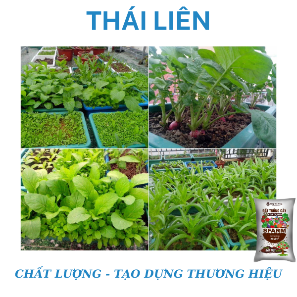 [Túi chiết 2kg] Đất trồng cây đa dụng Sfarm có chứa đất thịt tự nhiên