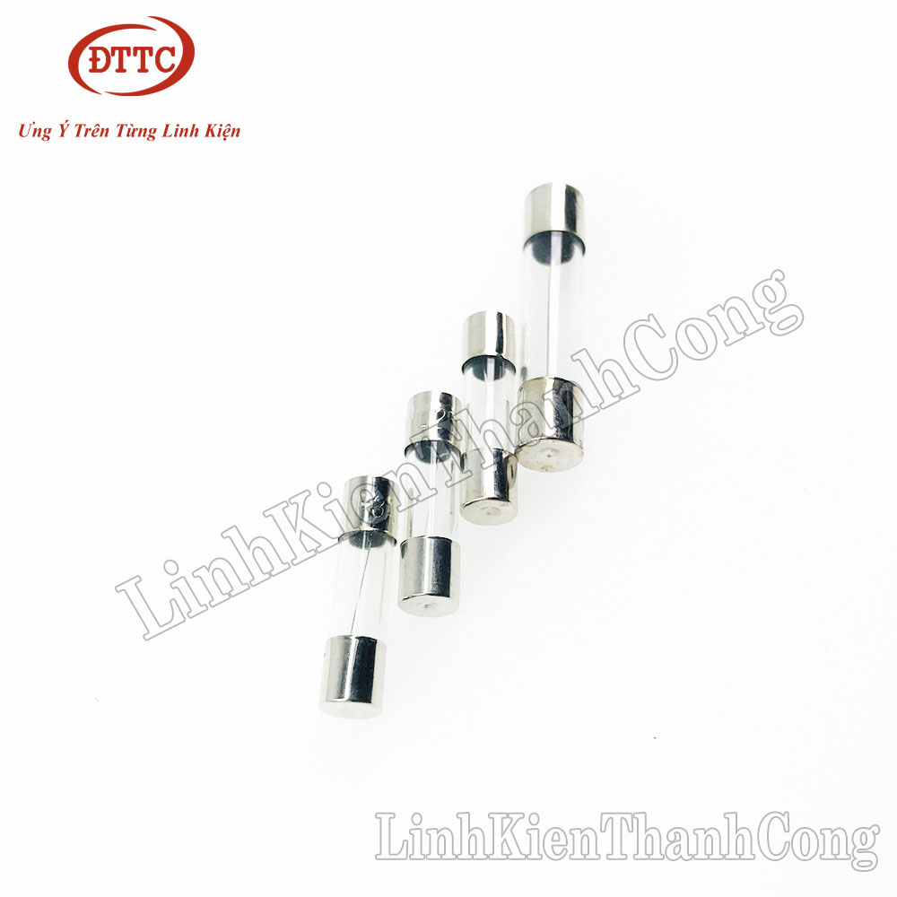 Bộ 2 Chiếc Cầu chì 1A 2A 3A 5A 8A 10A 250VAC 5x20mm