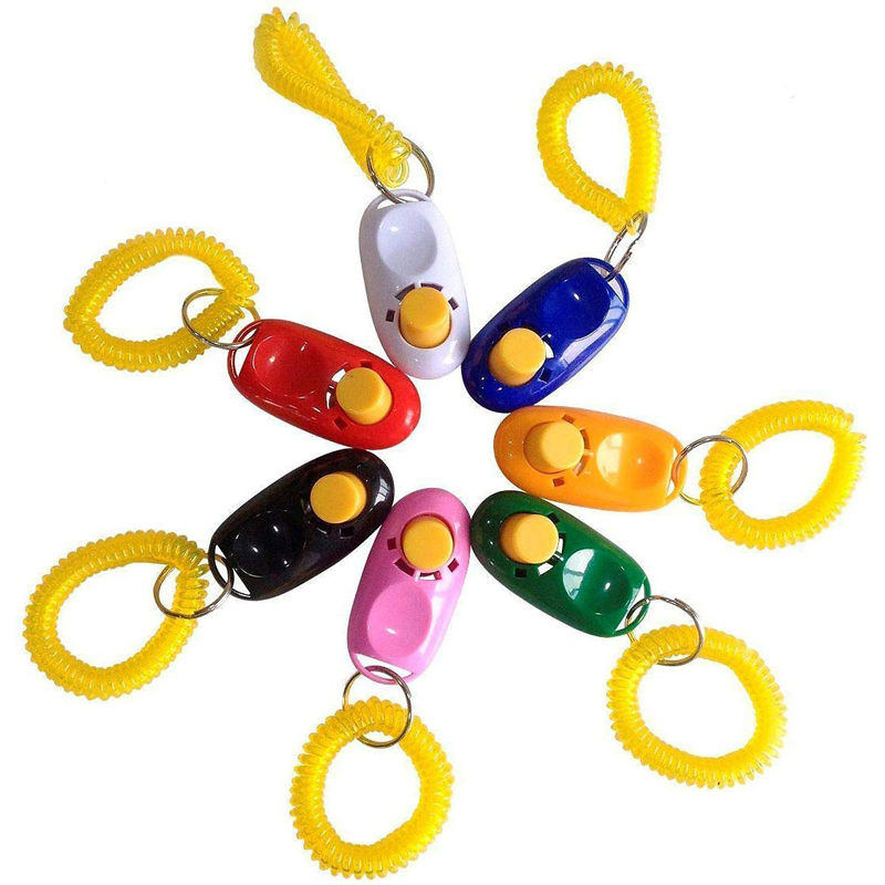 Clicker huấn luyện chó