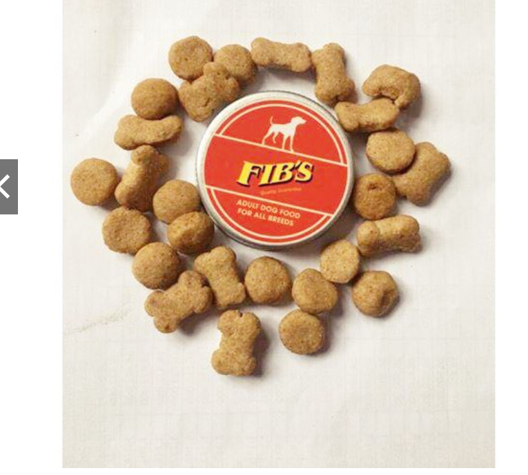 Thức Ăn Hạt Khô Cho Chó Lớn Fibs 400g