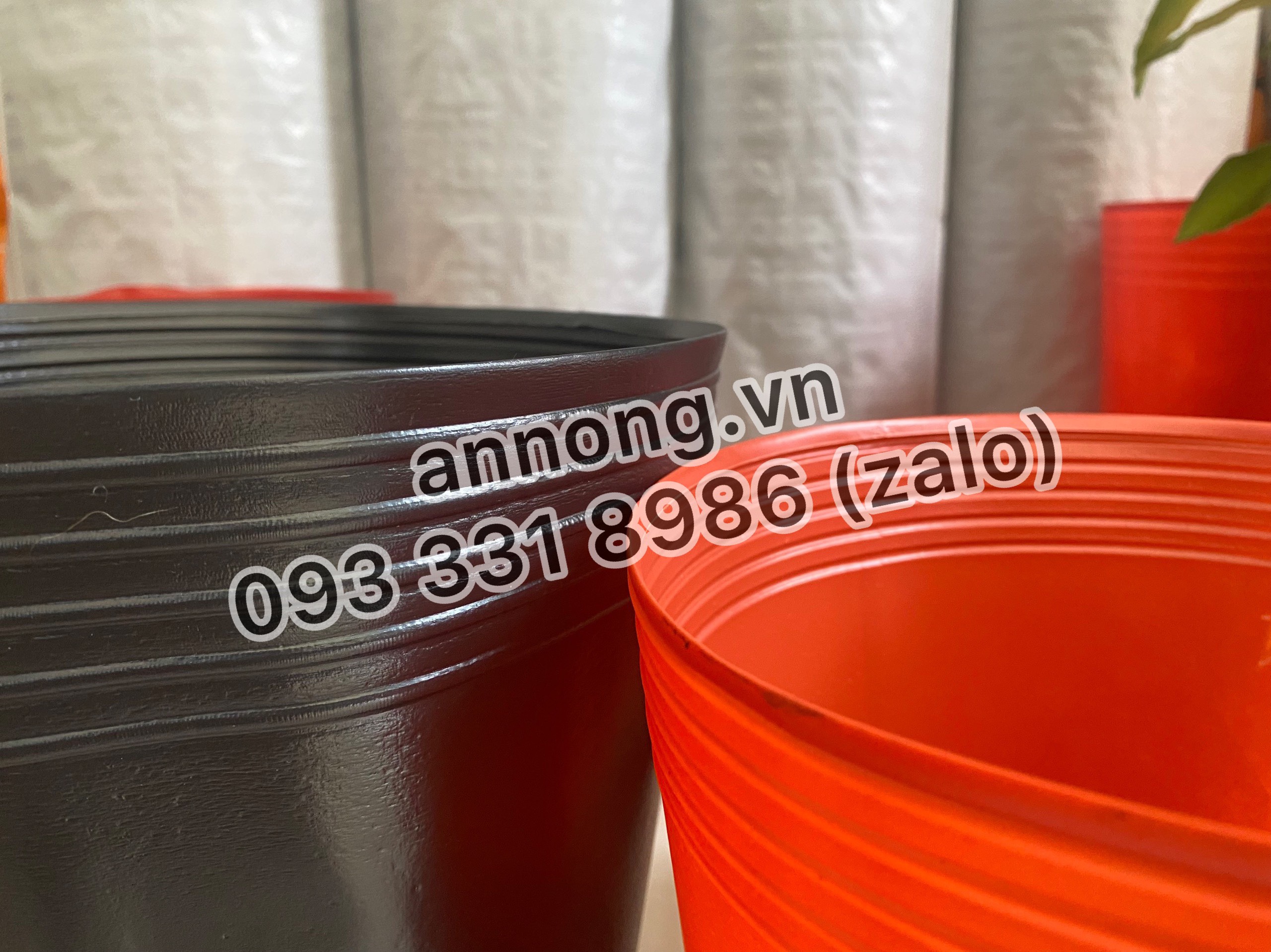 Combo 10 Chậu Nhựa Trồng Cây C8 -> C16 Đen - Đỏ