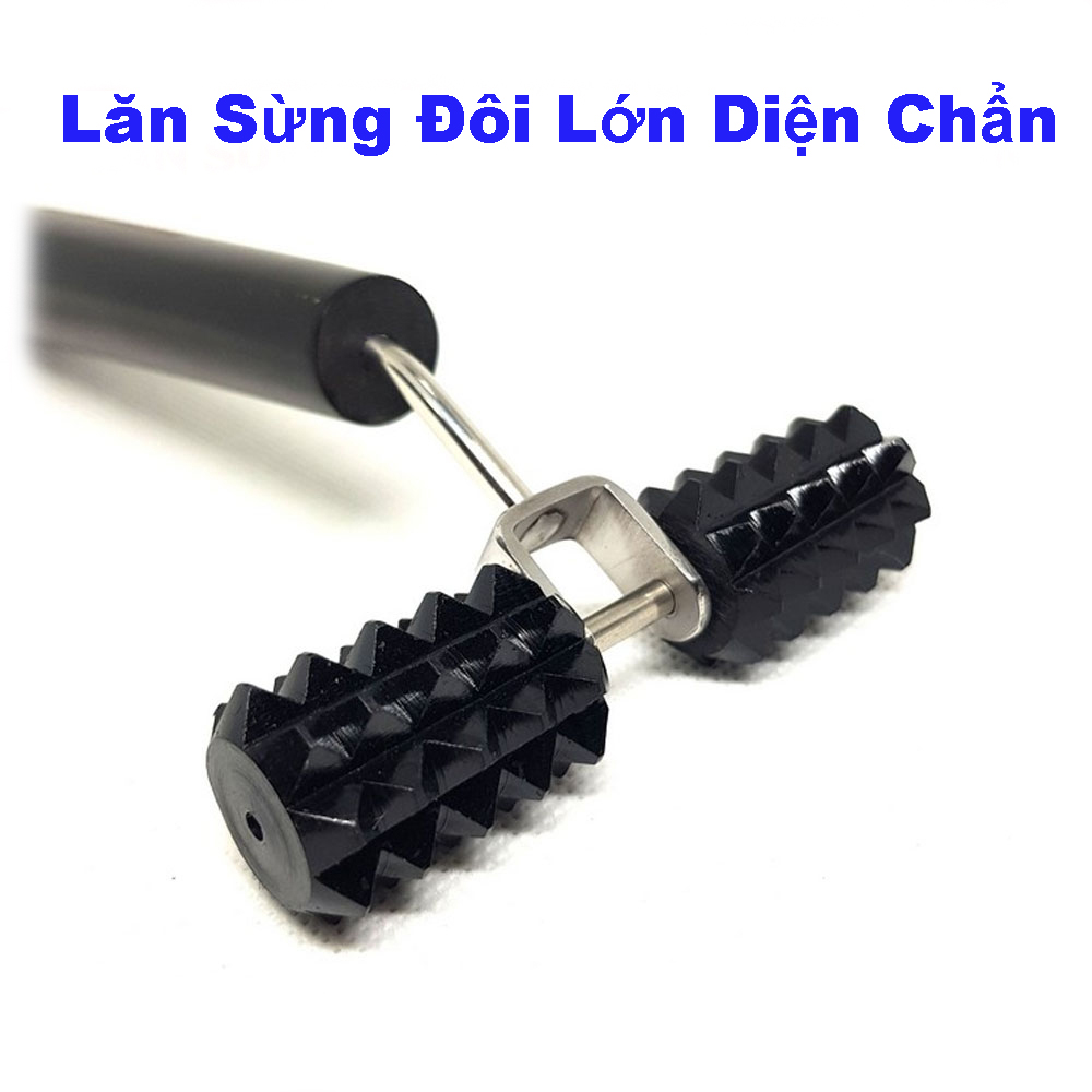 Lăn Sừng Đôi Lớn - Dụng Cụ Diện Chẩn