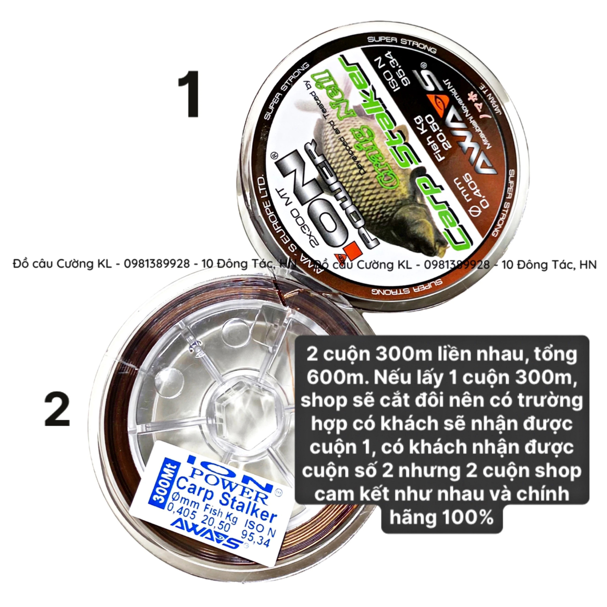Cước Nhật câu cá Ion power Carp Stalker
