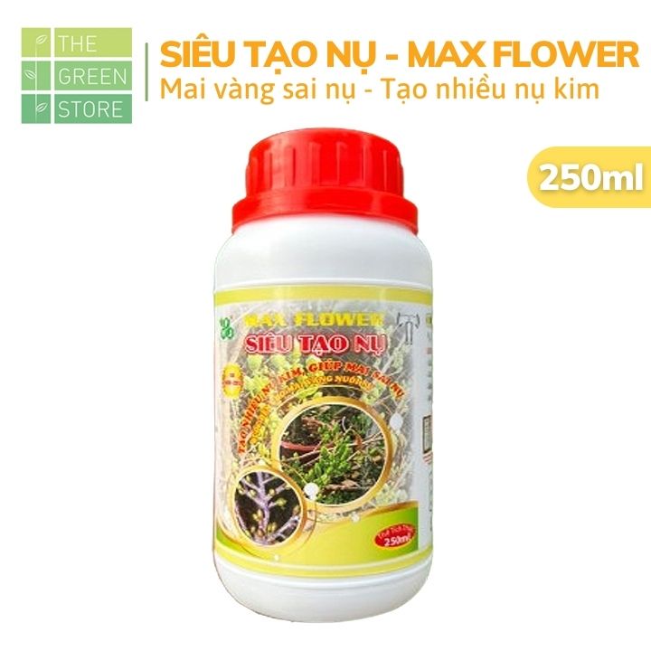Phân bón Max Flower tạo nụ mai, mai nhiều nụ, sai nụ, tạo bước đệm cho mai vàng ra hoa