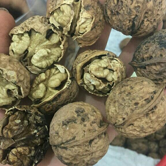 1kg quả óc chó rừng