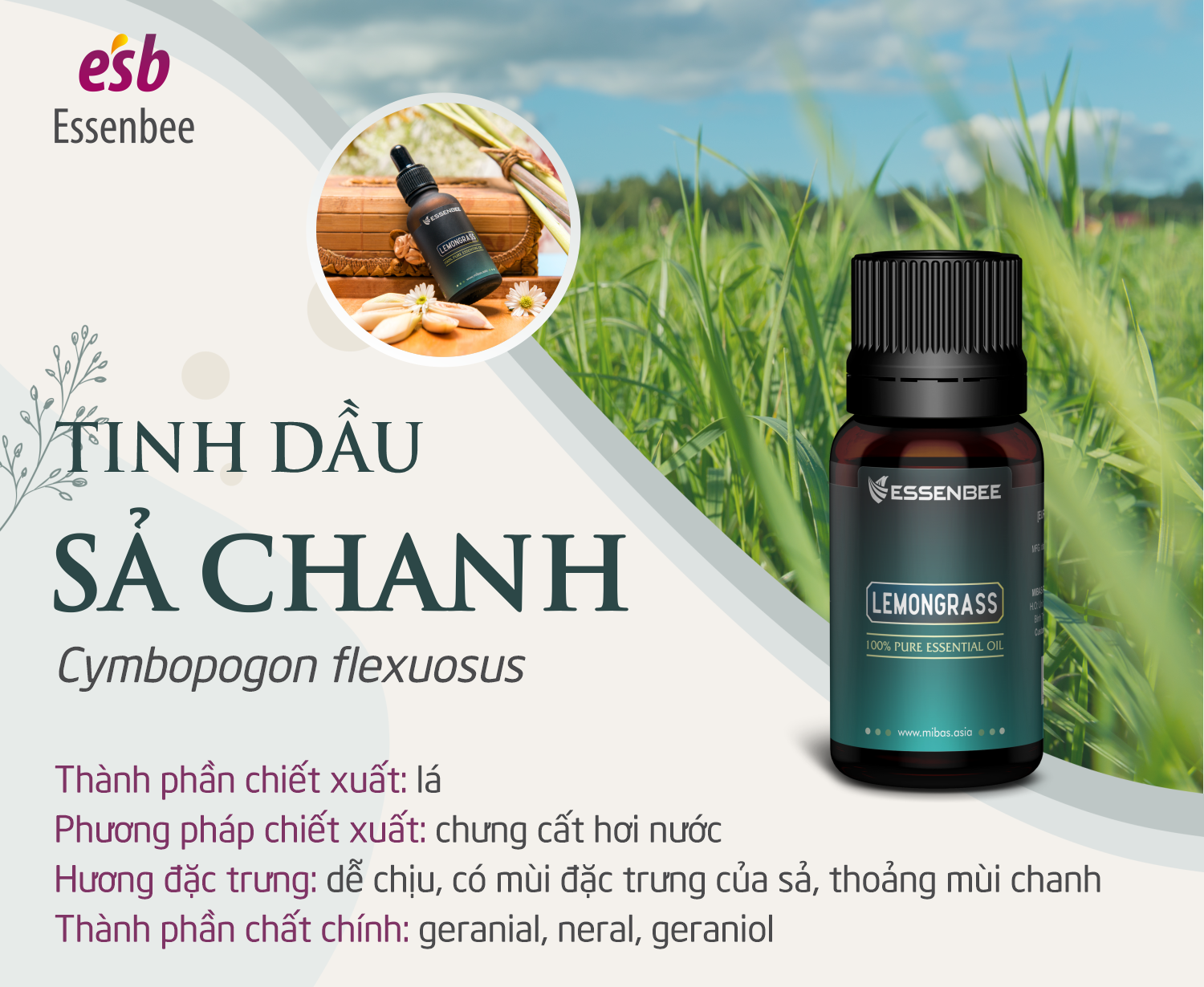 Tinh dầu thiên nhiên Sả Chanh - Essenbee - 30ml