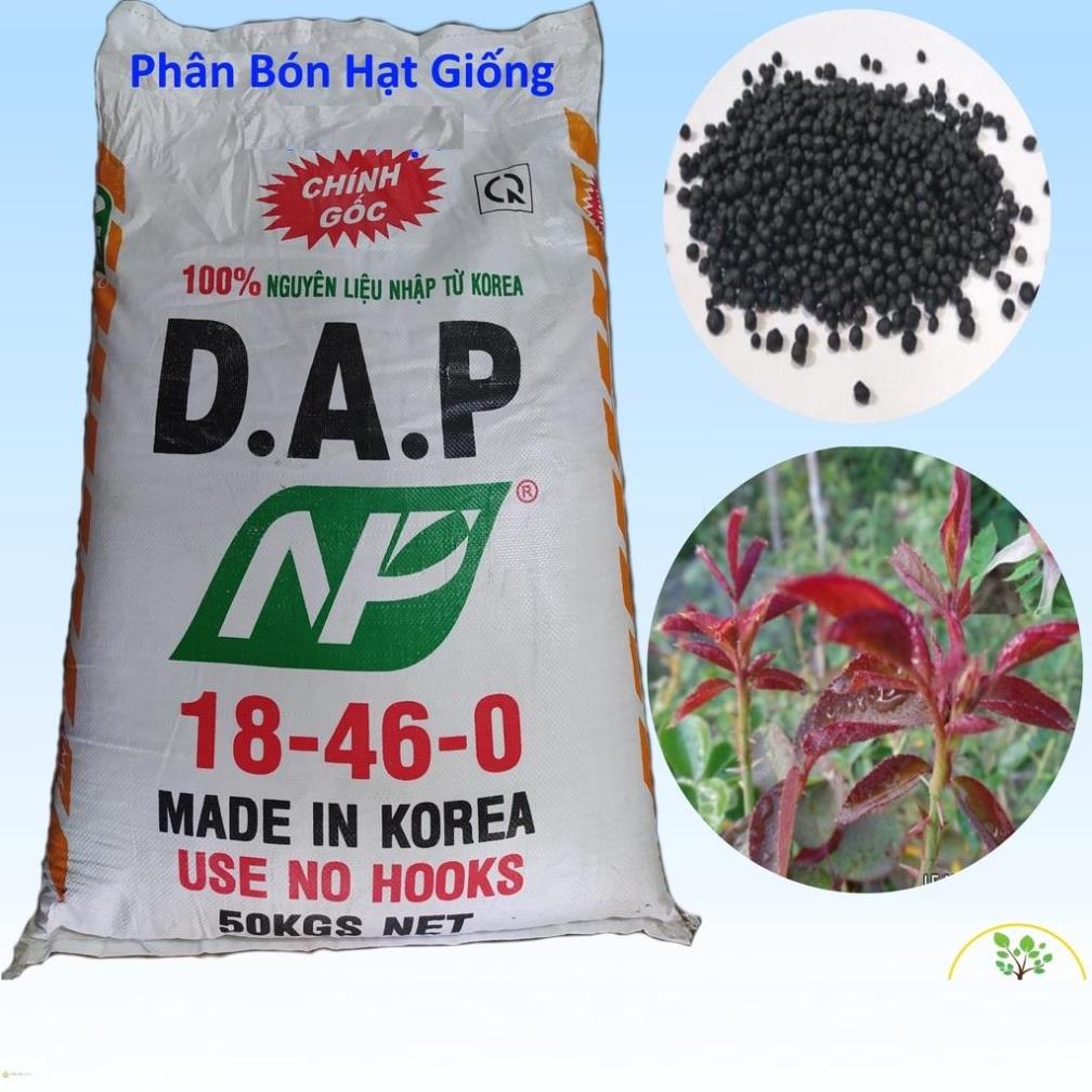 Phân bón dap hàn quốc - dap korea loại hạt đen 1kg