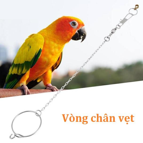 Xích móc khóa chân chim vẹt inox