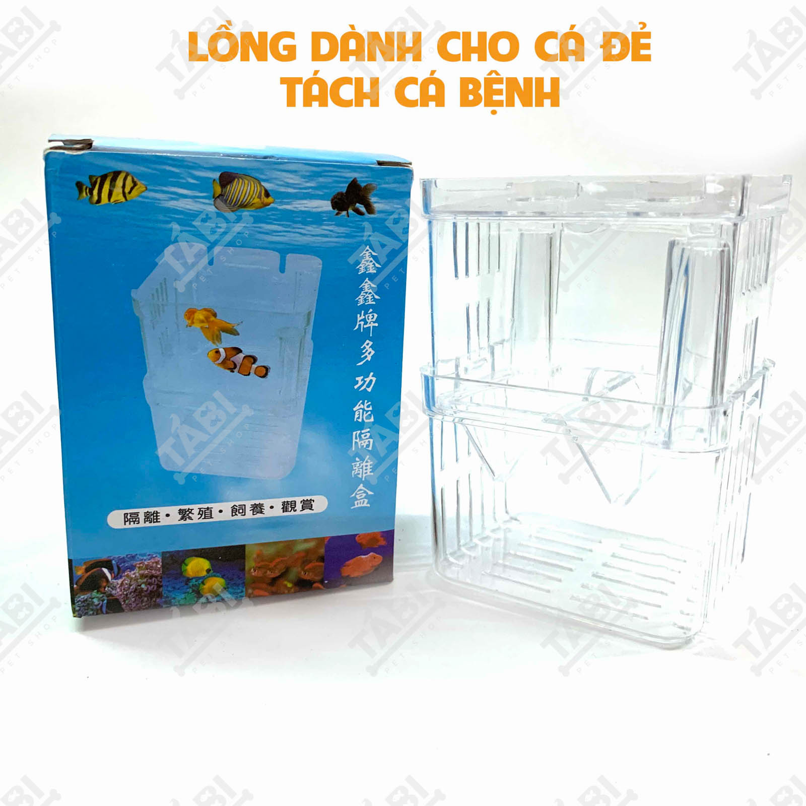 Lồng Ép Cá Đẻ Tách Cá Bệnh Dưỡng Cá Bằng Nhựa Mica 7x7x11 (Size Nhỏ)