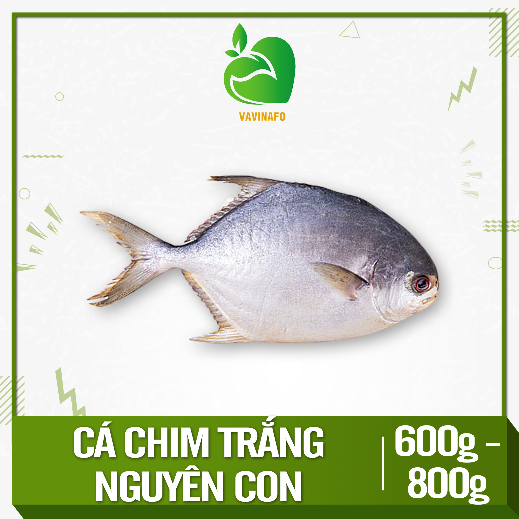 HCM - Cá chim trắng nguyên con (0,6 - 0,8 kg) - [Giao nhanh TPHCM]