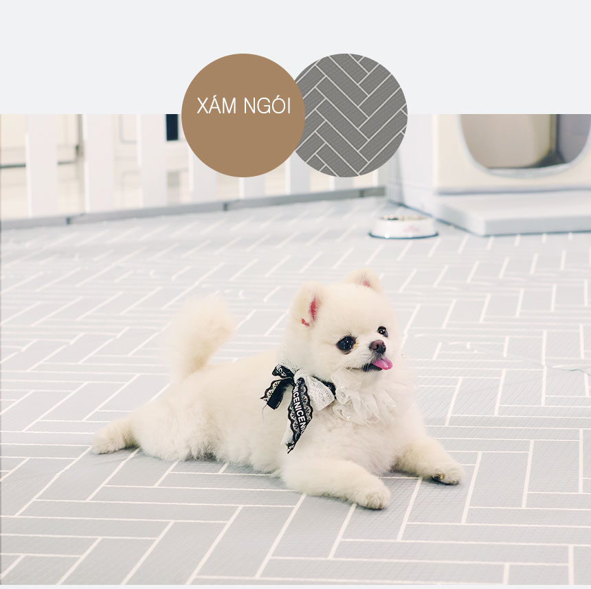 DFANG - Thảm nhảy chống trượt cho thú cưng (Chó mèo)
