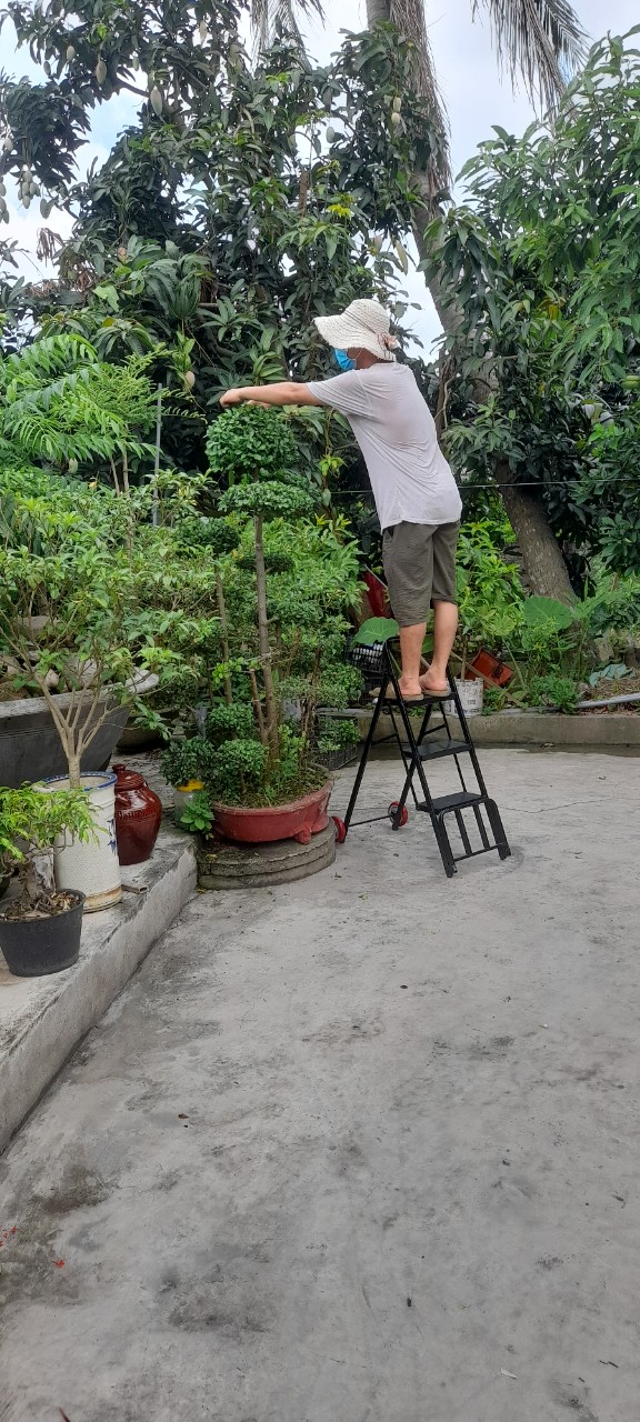 Ghế thang 3 bậc gấp gọn siêu bền