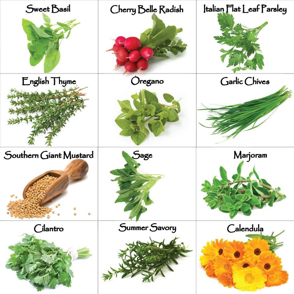 Tổng Hợp Lá Thơm Khô 10g (Thyme)