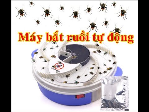 Máy bắt ruồi thông minh