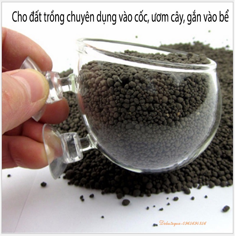 CỐC TRỒNG CÂY THỦY SINH (Chất Liệu Thủy Tinh)