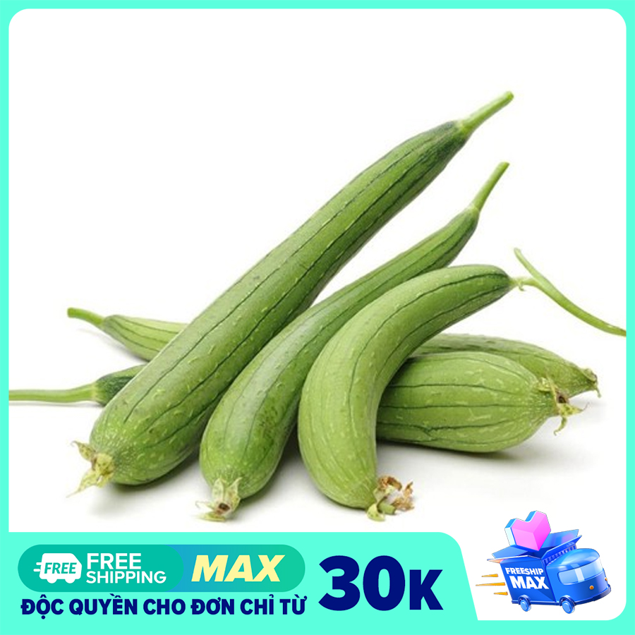 Hạt Giống Mướp Hương Thái Lan - 10 Hạt-Cây trồng Long Vũ