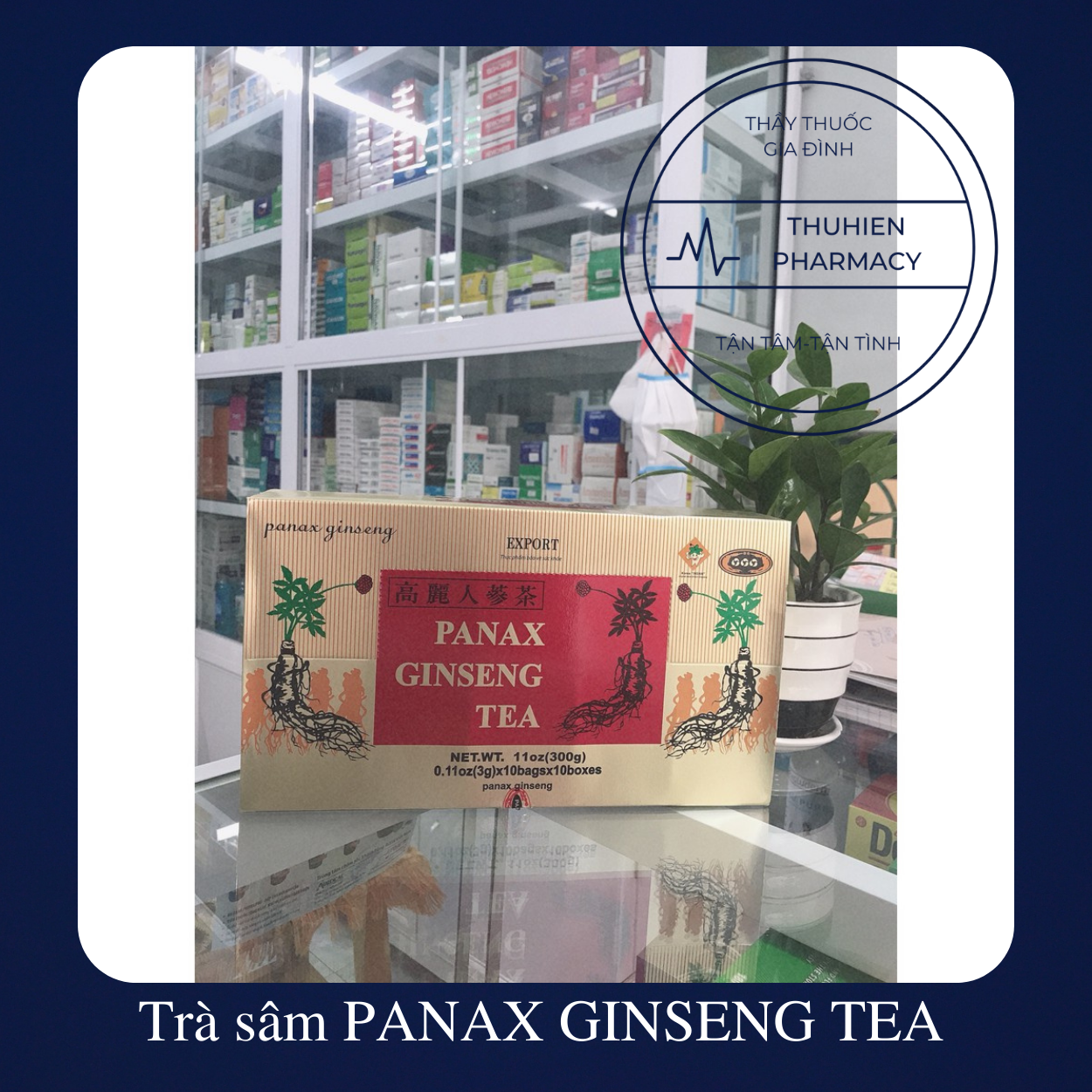 Panax Ginseng Tea Ginseng Tea Box of 100 Packs