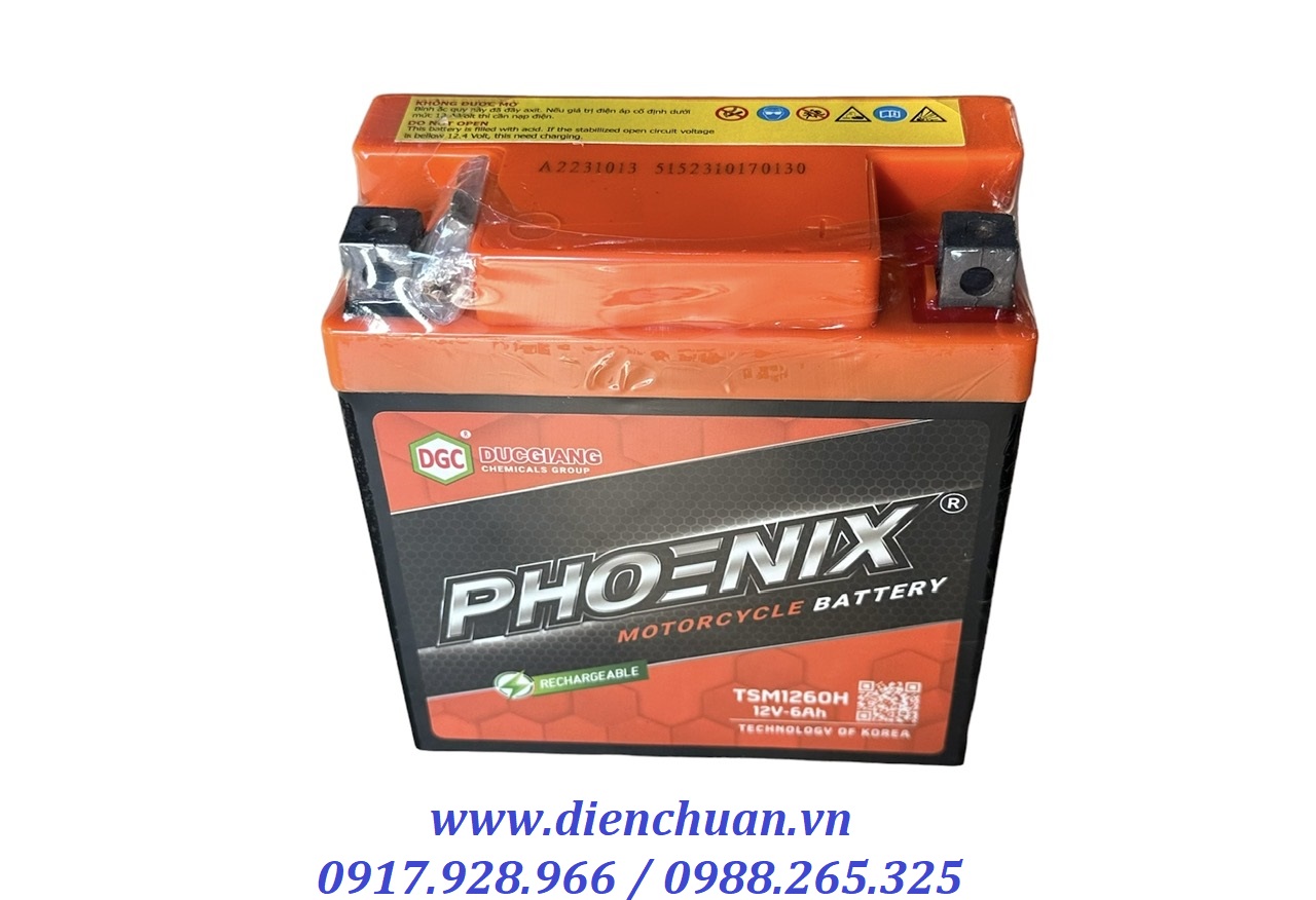 Ắc quy xe máy Phoenix TSM1260H ( 12V 6Ah)