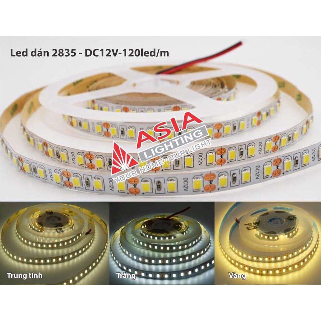 Đèn LED Dây Dán 2835 - DC 12V Siêu Sáng ASIA [CHÍNH HÃNG]