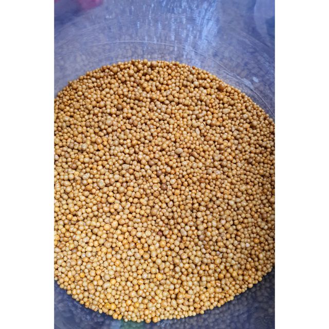 Phân tan chậm NPK 14 14 14 0smocote