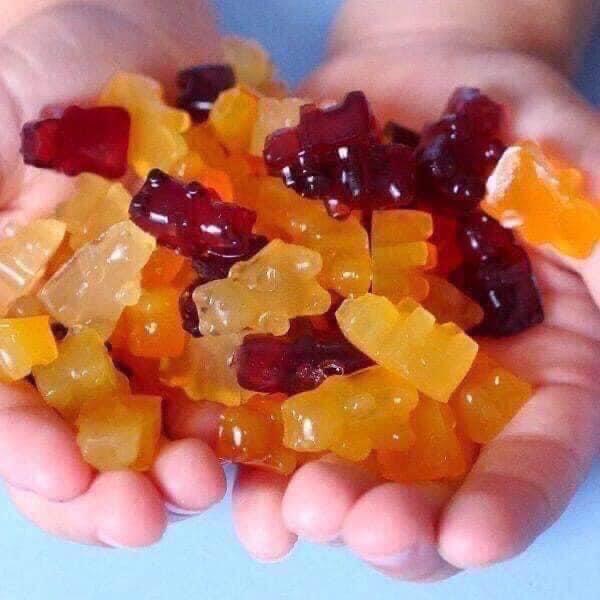 Kẹo dẻo trái cây Organic Gummy Bear (combo 15 gói)