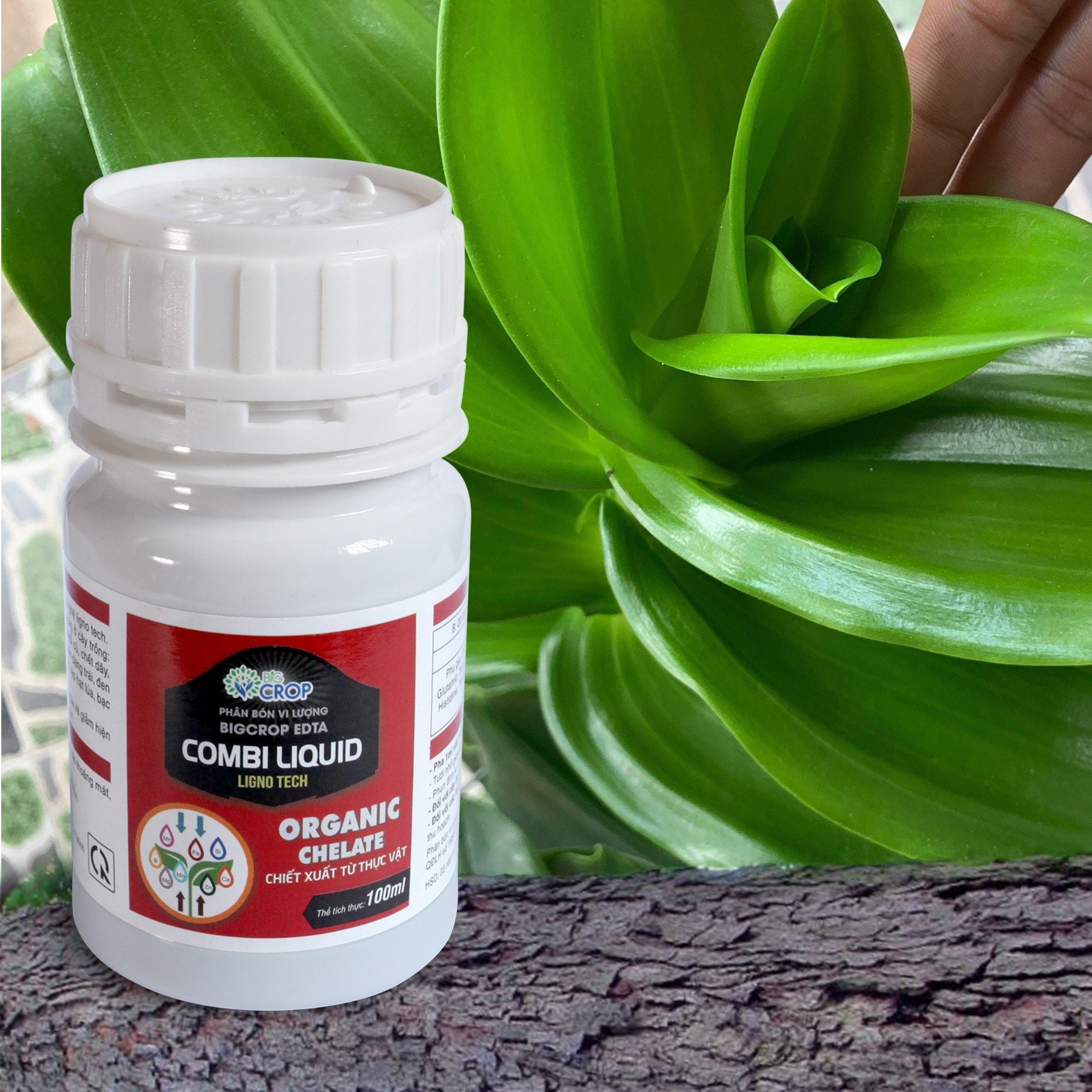 PHÂN BÓN BỔ SUNG VI LƯỢNG CHO LAN - COMBI LIQUID (100ml)
