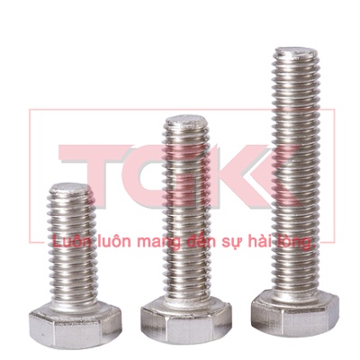 Bulong inox 304 M10