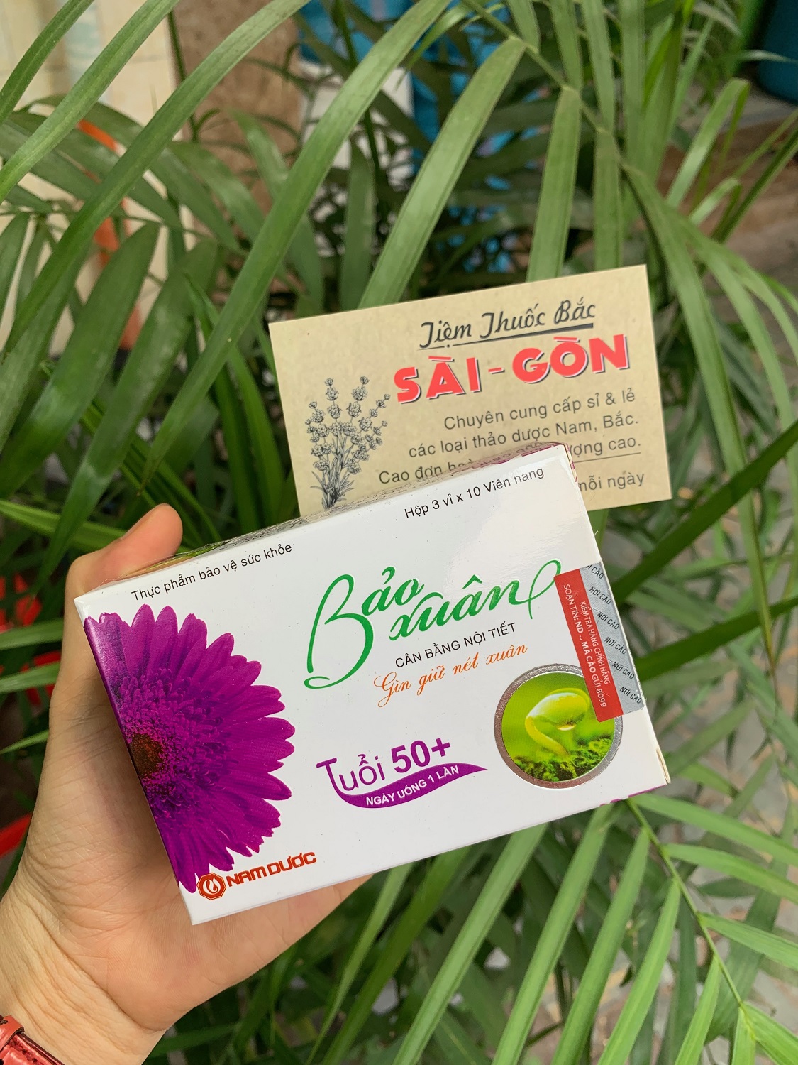 Bảo Xuân Tím