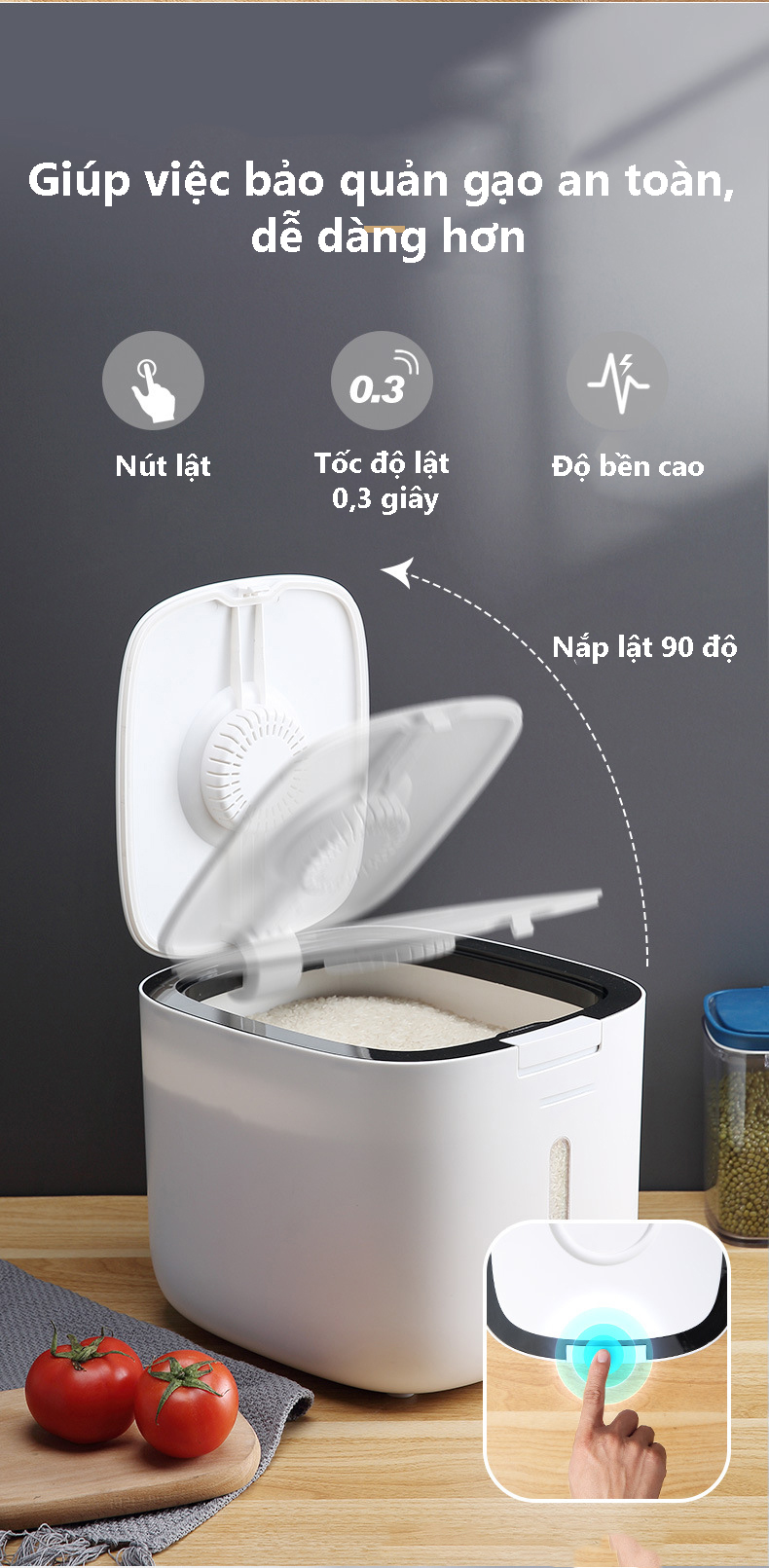 Thùng Đựng Gạo 10kg Ecoco Cao Cấp
