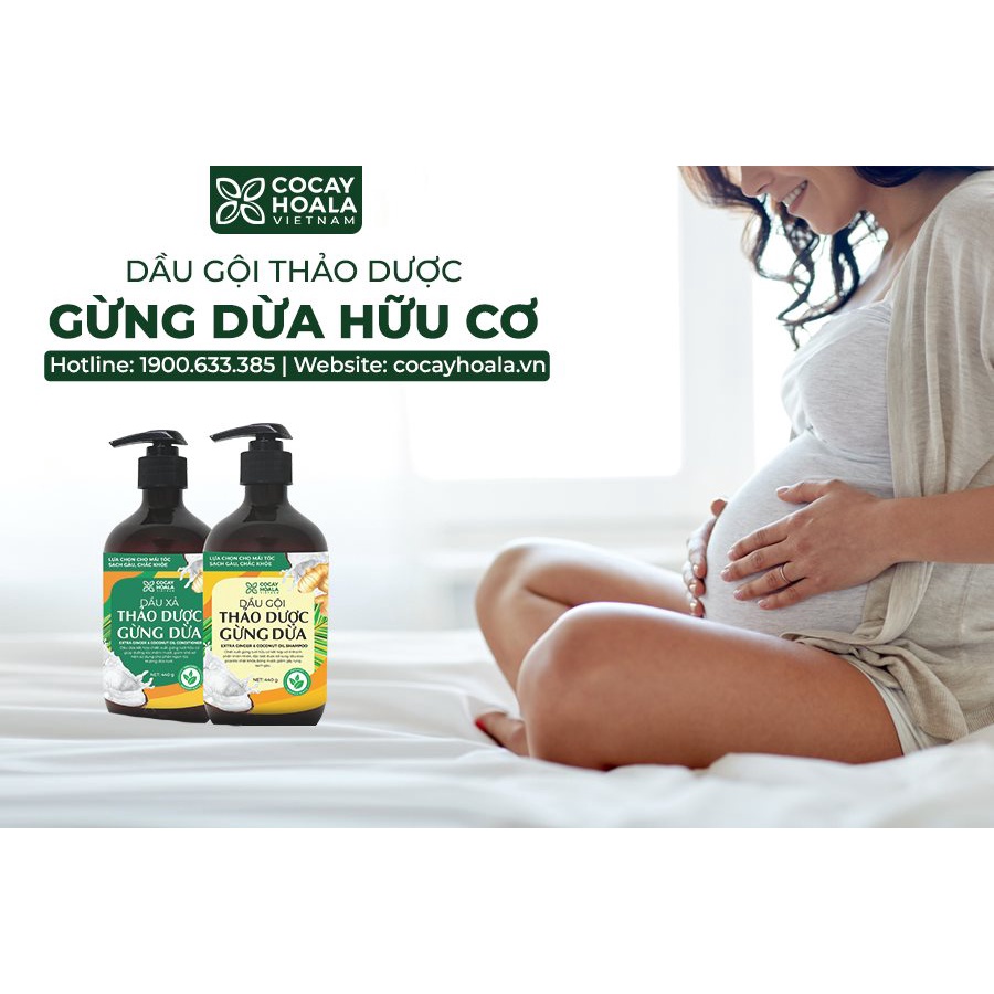 Dầu gội -  xả thảo dược Gừng Dừa