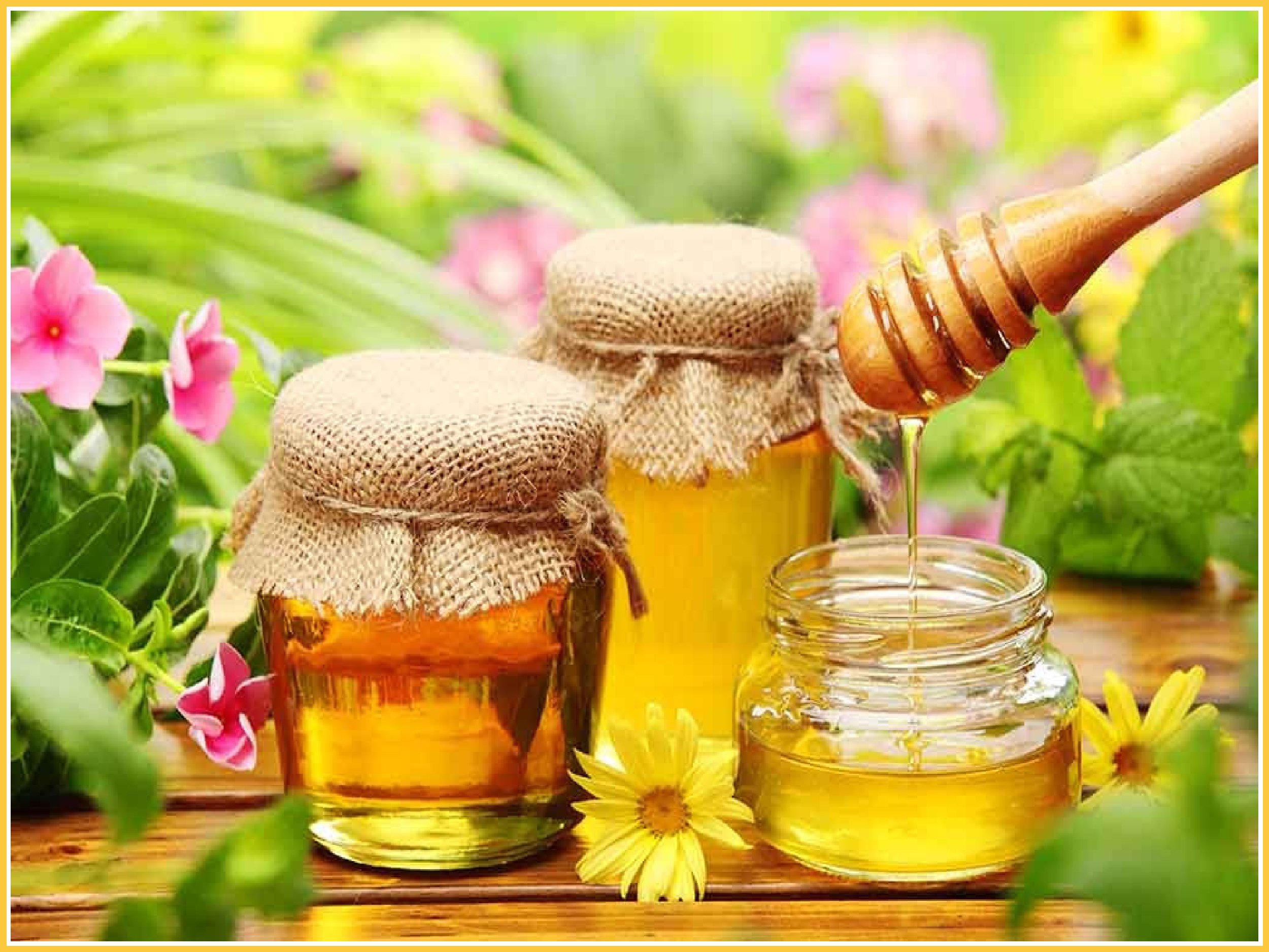 Mứt đào Bodou Đài Loan 1.36kg