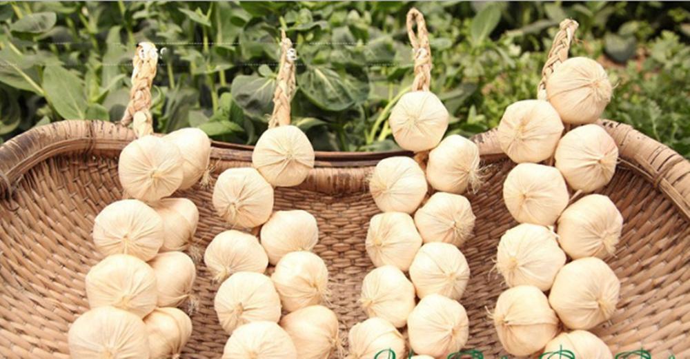 Dây hành củ tỏi giả trang trí