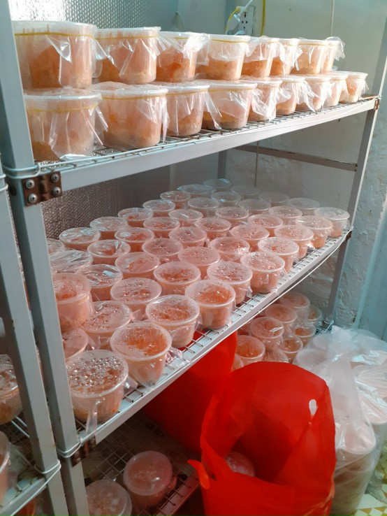 Đông trùng hạ thảo khô ( đóng hộp 10g)