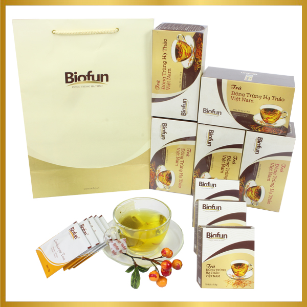 Trà Đông Trùng Hạ Thảo Việt Nam BIOFUN