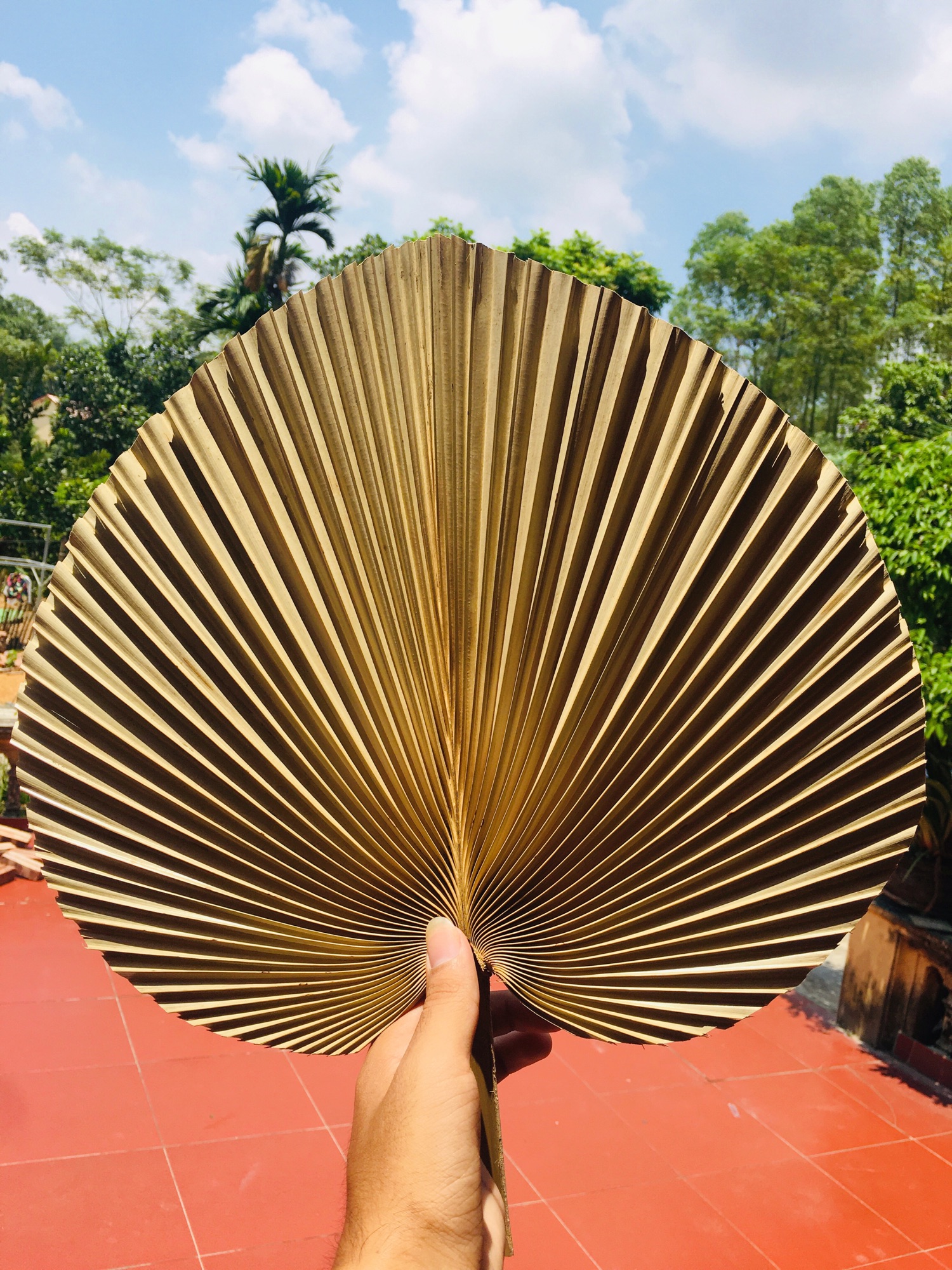 Quạt cọ truyền thống