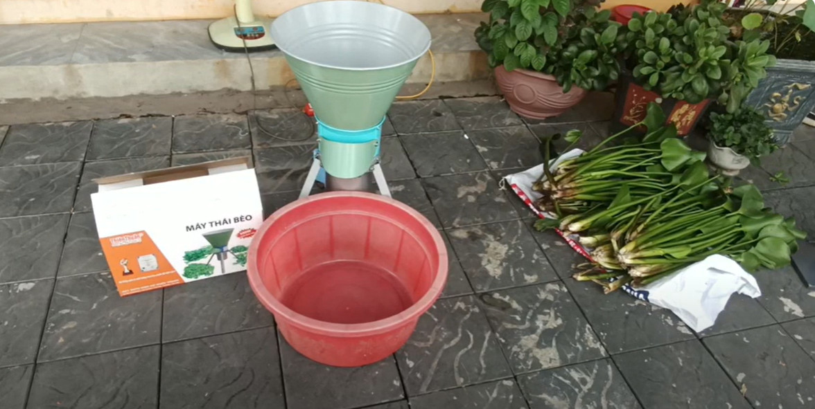 Máy băm bèo băm rau muống giá rẻ