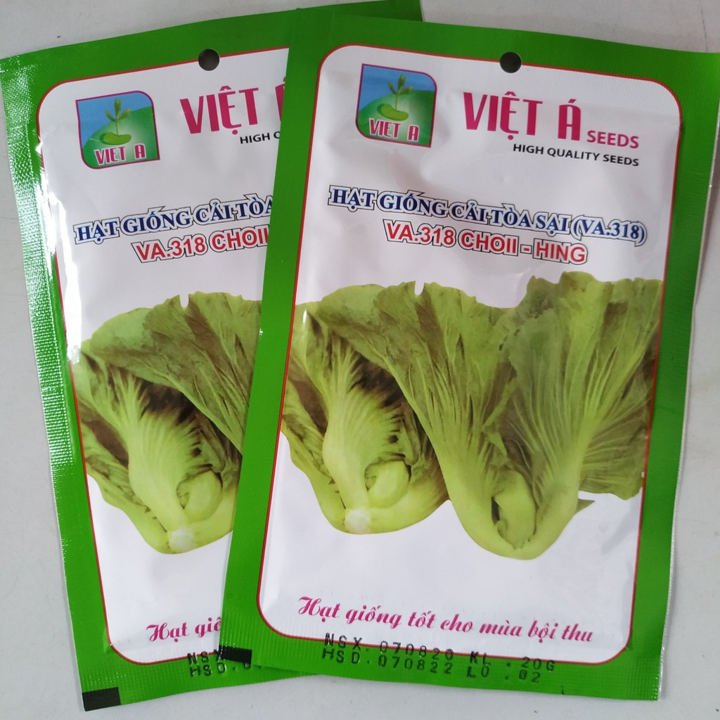 Hạt giống Cải Muối Dưa (Cải Tòa Sại) 20gr
