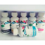 BỘ 6 CHAI MỰC EPSON PIGMENT UV INKSUN 100ml