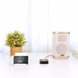 Bộ Thu Bluetooth 4.1 Ugreen 30445 Cho Loa, Âm Ly