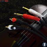 Cáp chuyển 2 jack RCA sang 2 jack 6.3mm