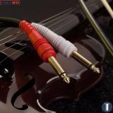 Cáp chuyển 2 jack RCA sang 2 jack 6.3mm