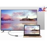Cáp chuyển đổi USB Type C to Displayport (âm) Ugreen 40372